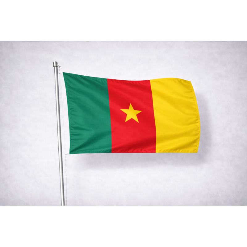 Bandiera Camerun