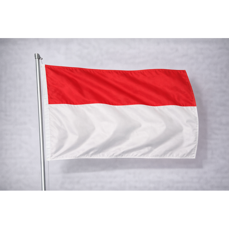 Bandiera Indonesia