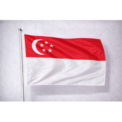 Bandiera Singapore