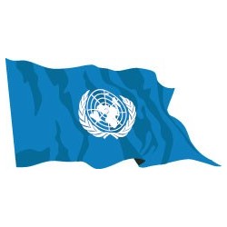 Bandiera ONU