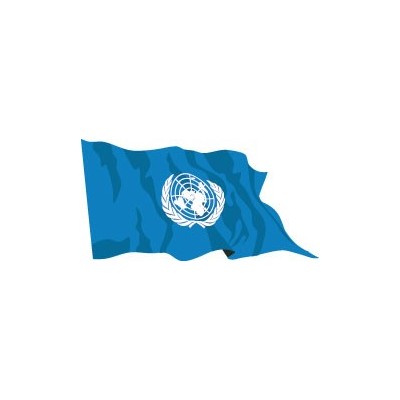 Bandiera ONU