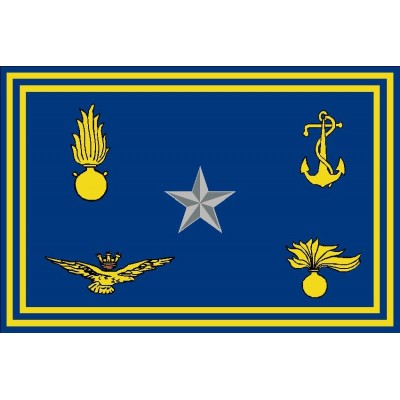 Distintiva Ministro della Difesa