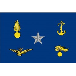 Distintiva Sottosegretario alla Difesa