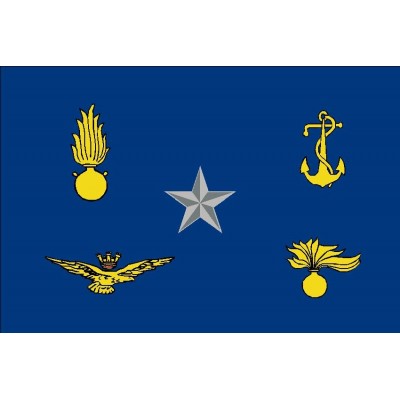 Distintiva Sottosegretario alla Difesa