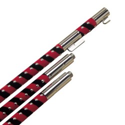 Asta per gonfaloni e...