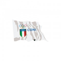 Bandiera CONI Professionale...
