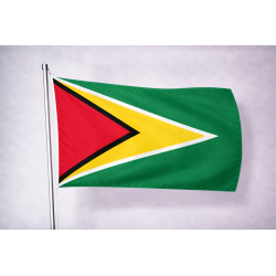 Bandiera Guyana