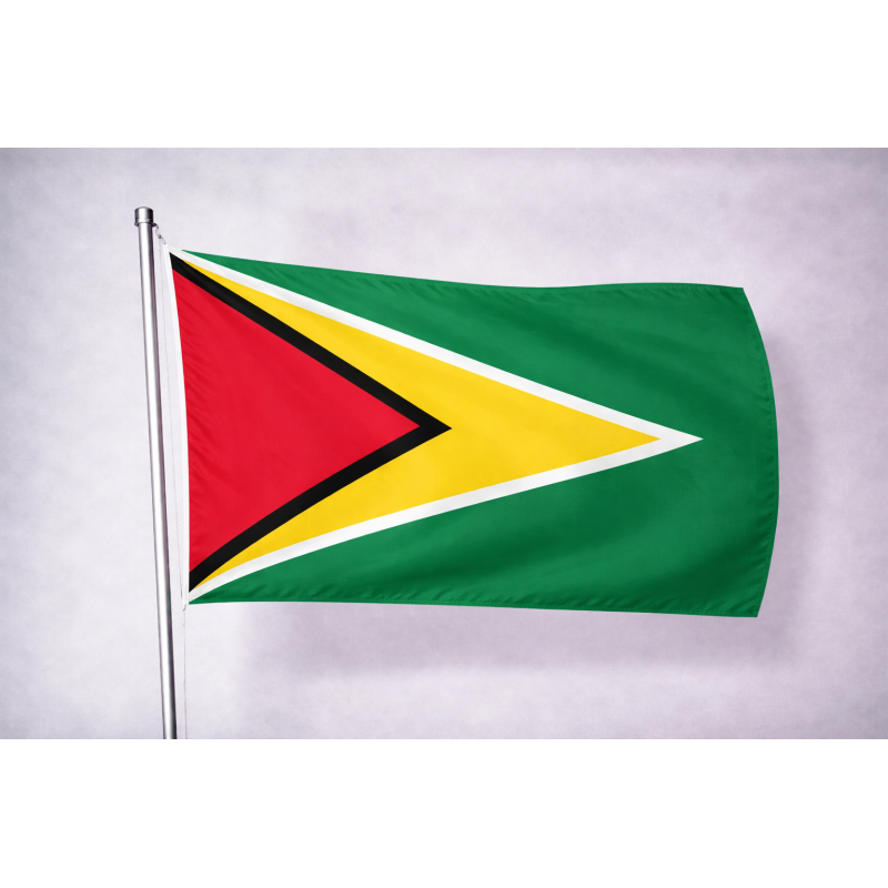 Bandiera Guyana