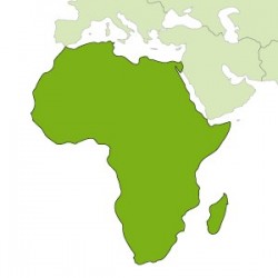 Bandiere Africa